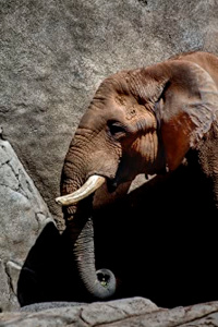 En solo un momento.: Introducción a la edición digital.